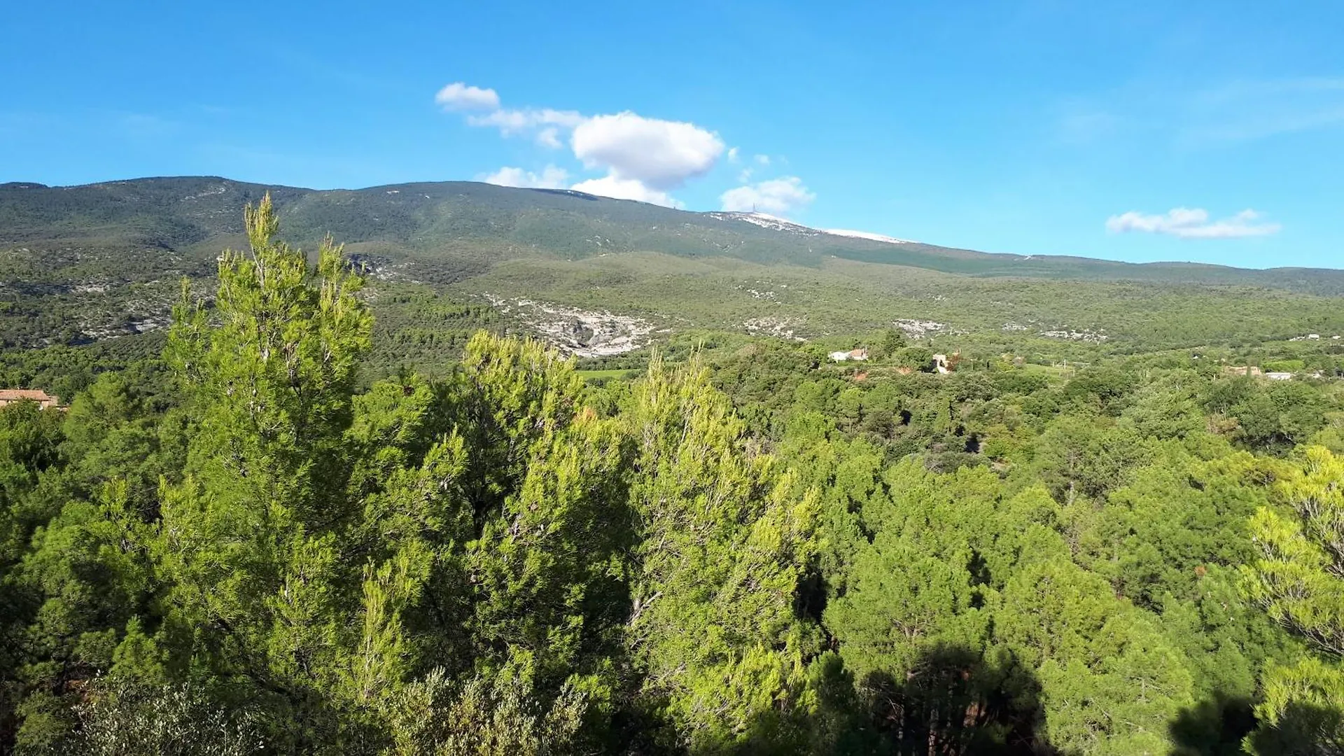 Hébergement de vacances La Carriera, petite maison sud Ventoux, au charme Provençal Bédoin